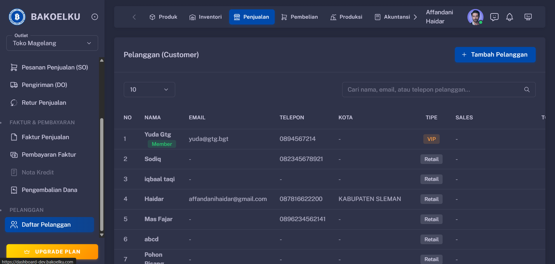 Customer Database Interface